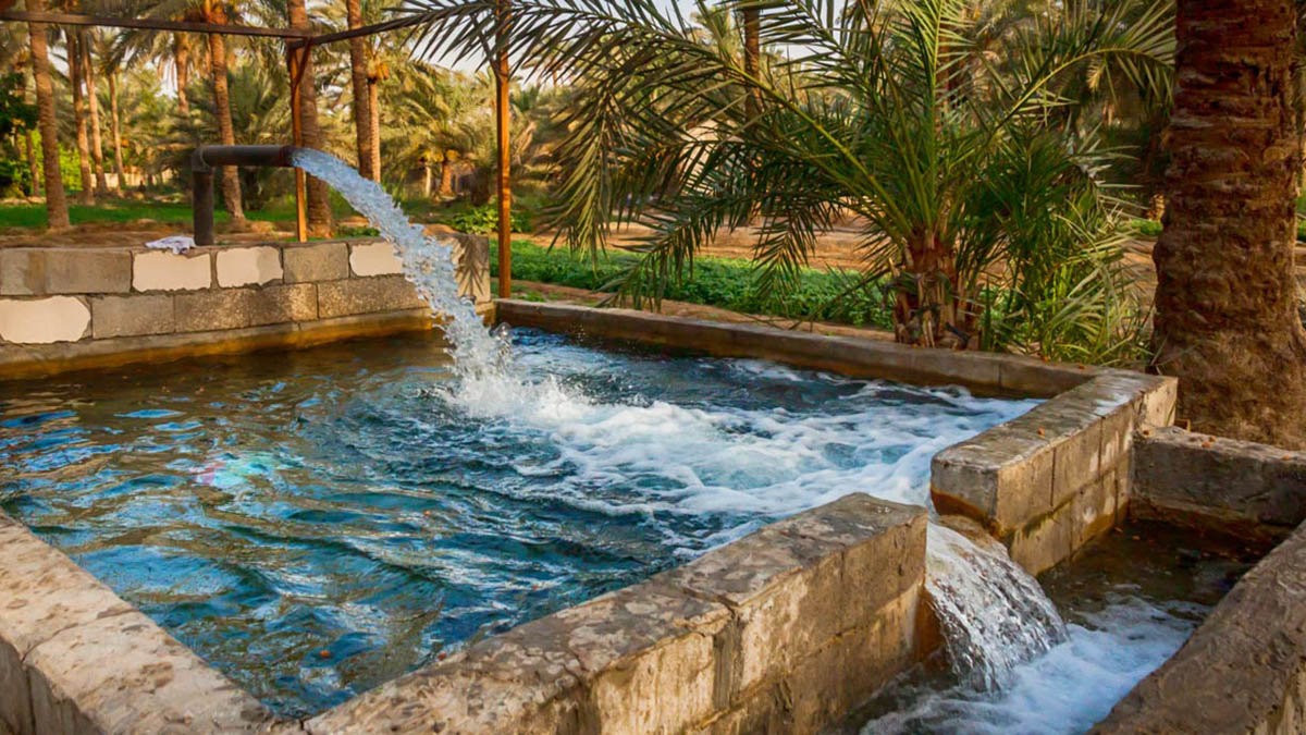 واحد الإحساء