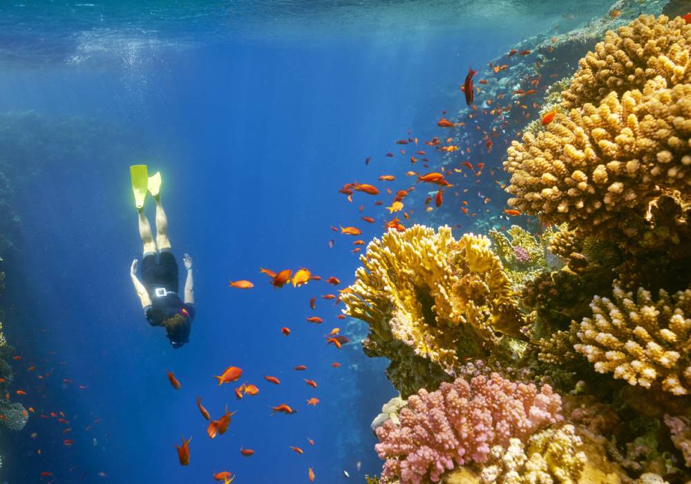 الغطس في الثقب الأزرق Blue Hole