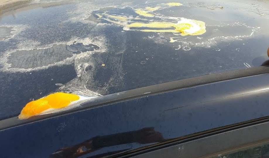 طلاء السيارة