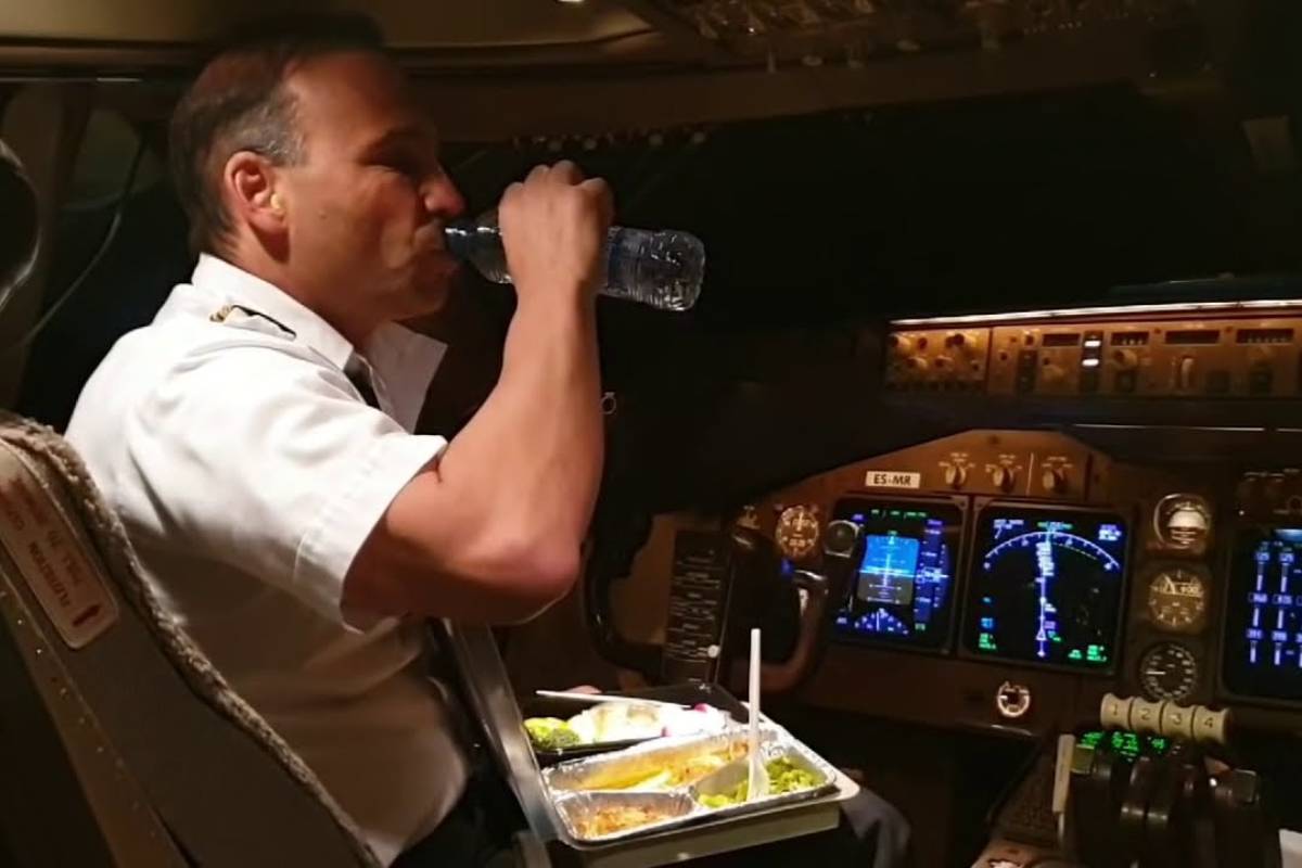 اكلات الطائرات