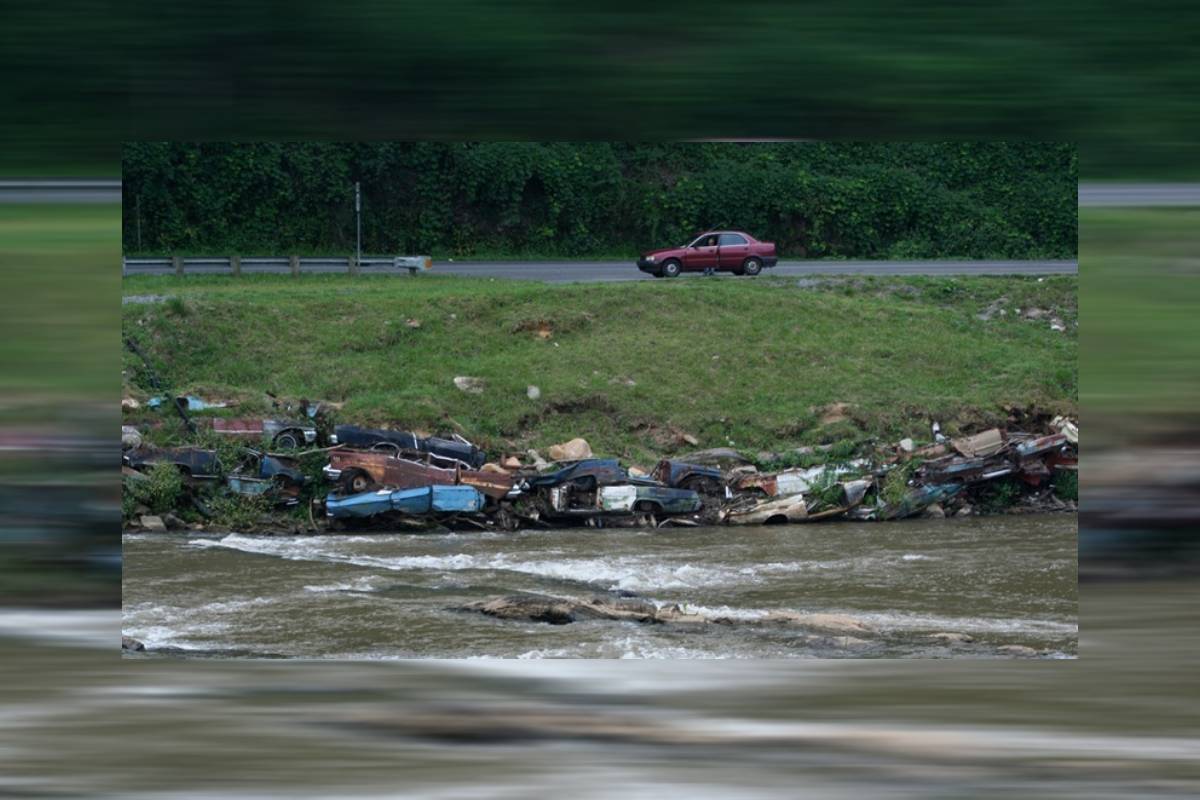 سيارات على الشاطئ