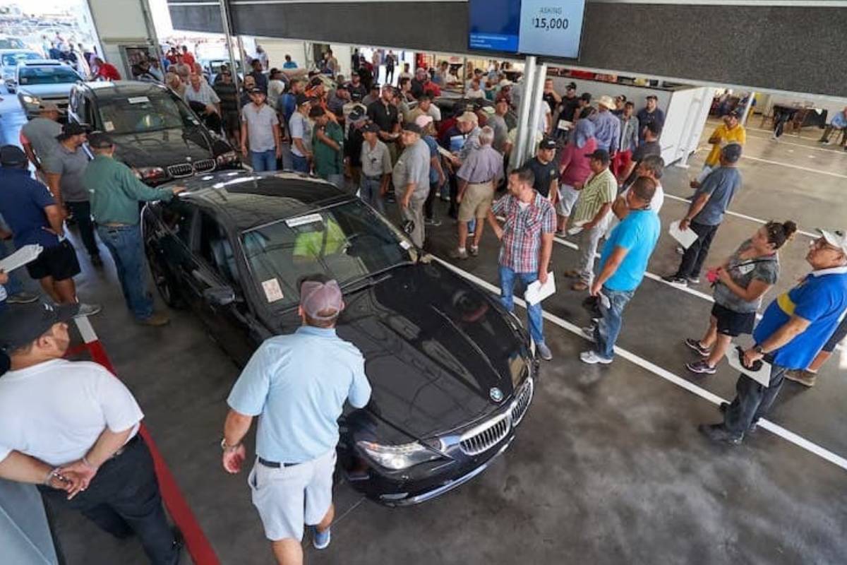 مزادات سيارات