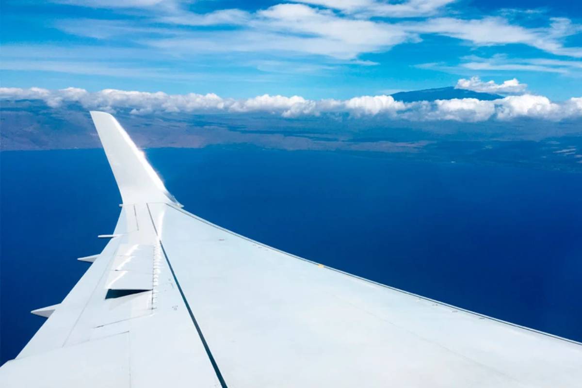 جنيحات الطائرة