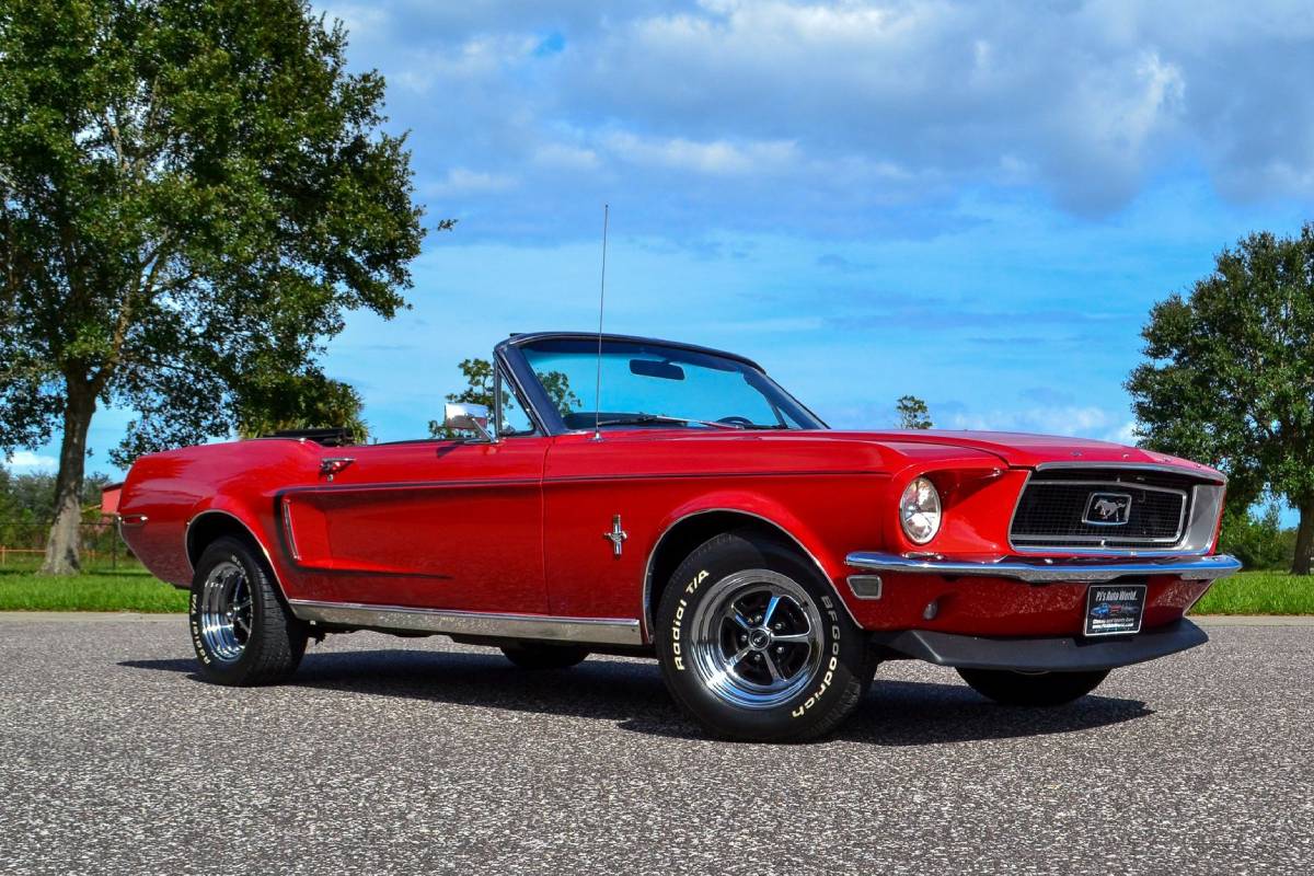 سيارات سلمى حايك