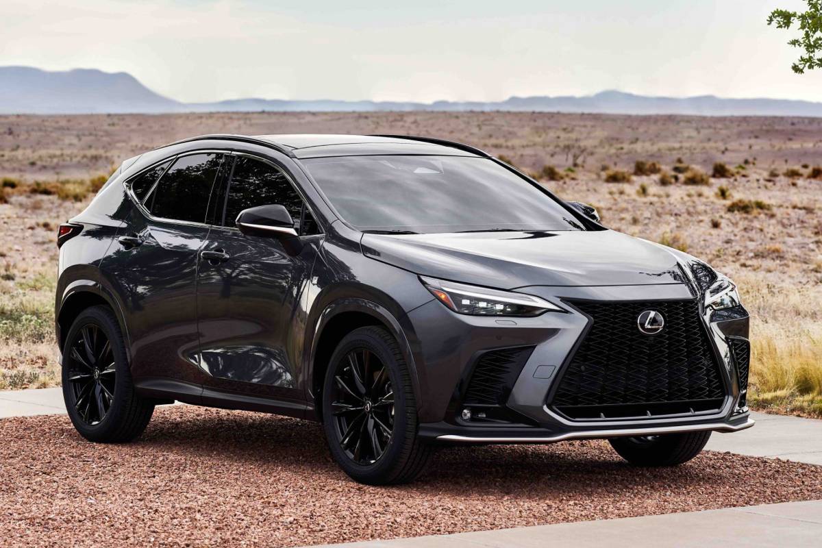 سيارات سلمى حايك