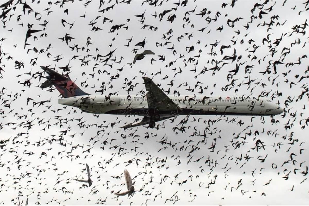 زجاج الطائرة