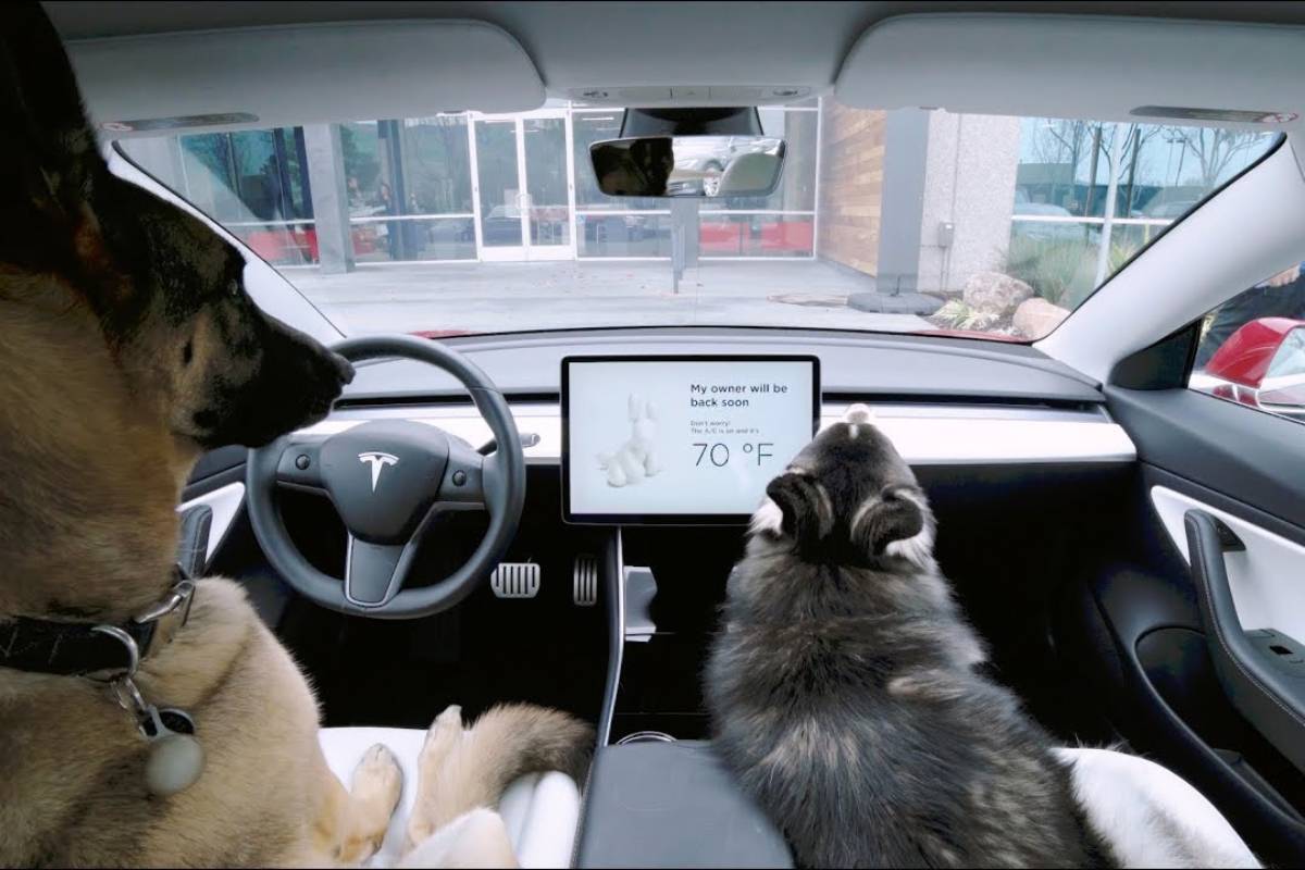 سيارات تسلا