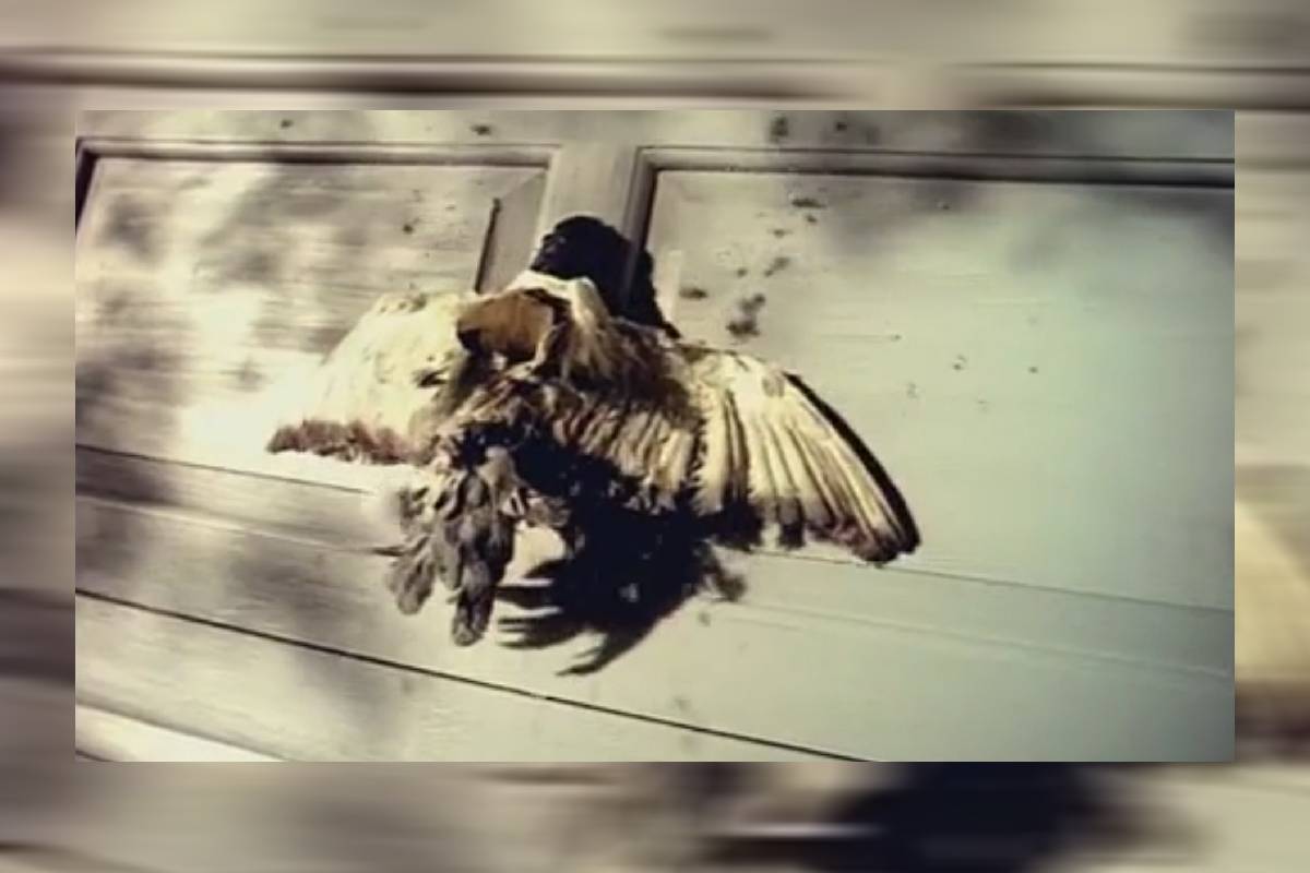 اعلان نيسان 1997