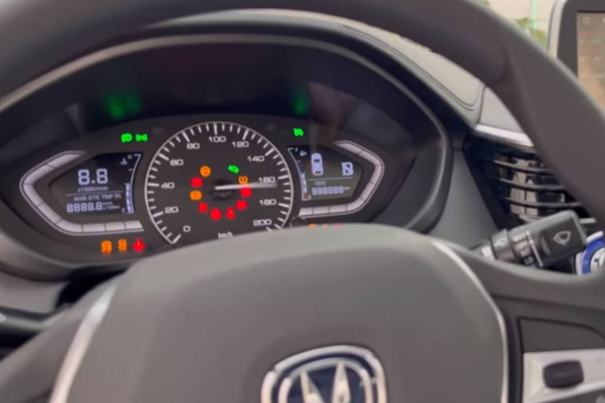 شانجان السفن 2024