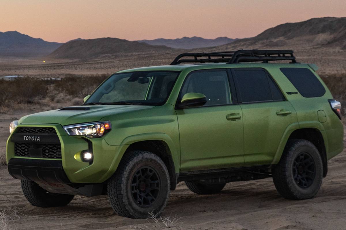 كريم بوضياف