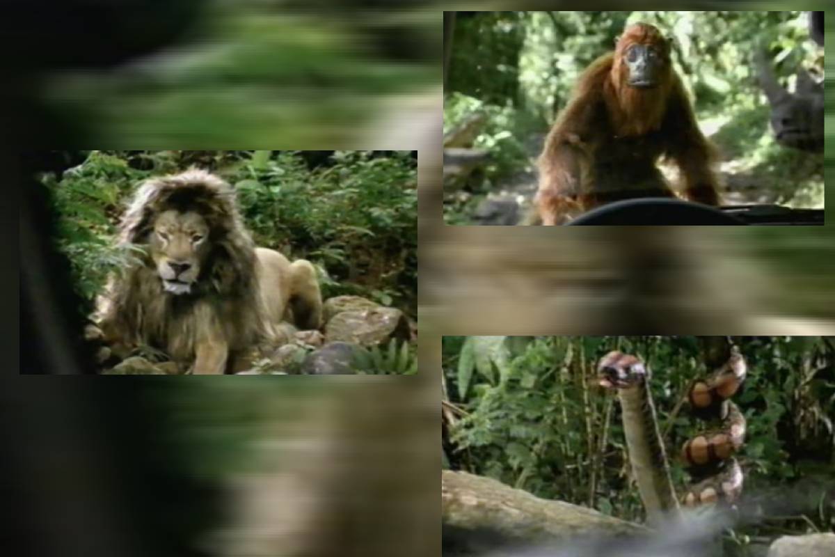 فيات ادفنتشر