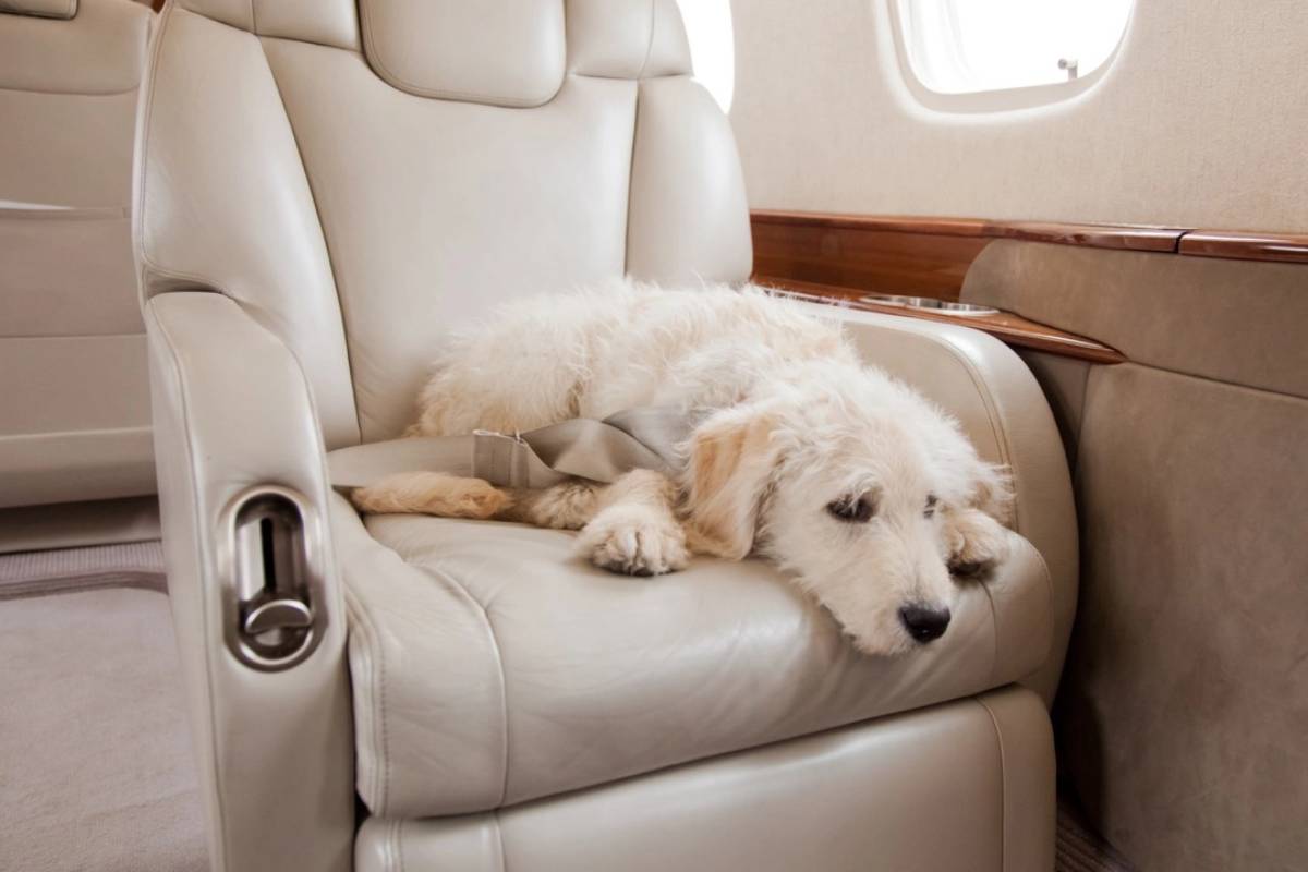 طائرات خاصة