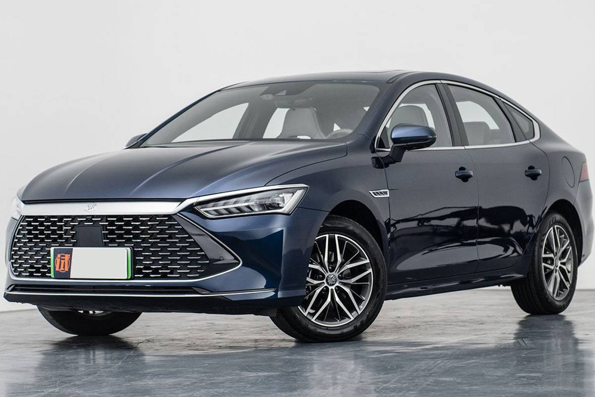 بي واي دي تشين بلس 2024