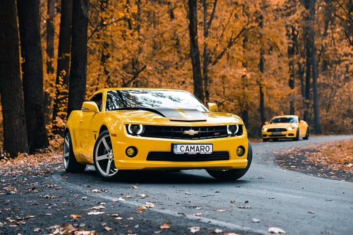 سيارات براد بيت