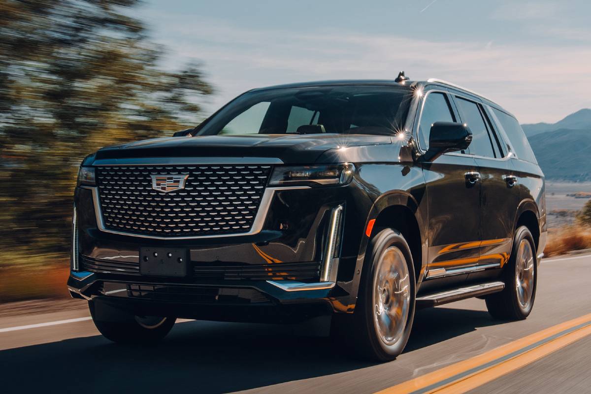 كيندال جينر