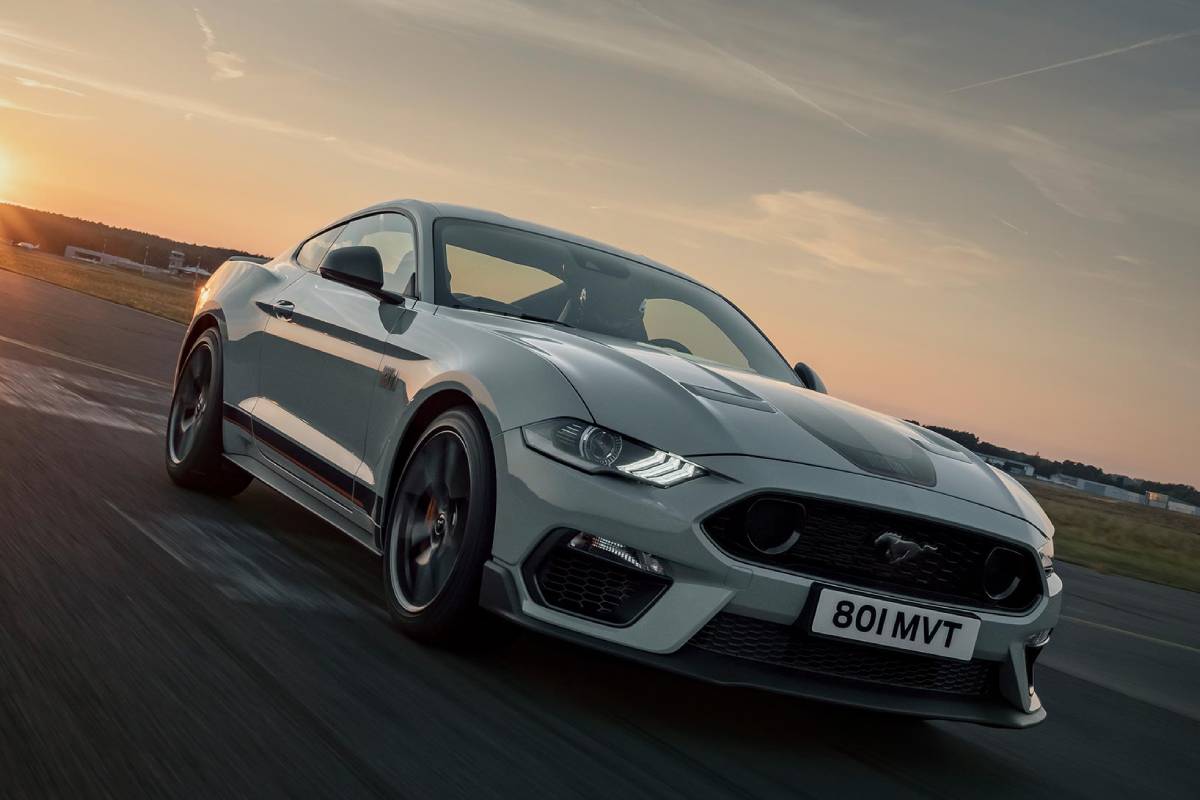القرة الحصانية