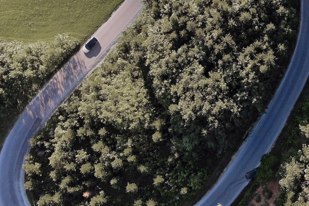 سيارات فولفو