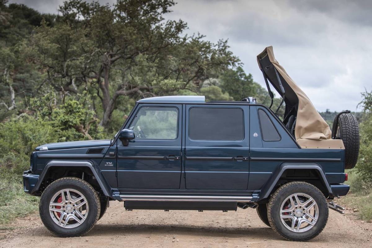 مرسيدس المشاهير