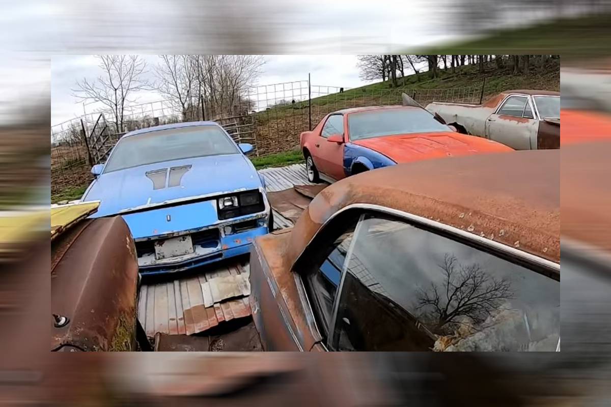 شيفروليه كامارو