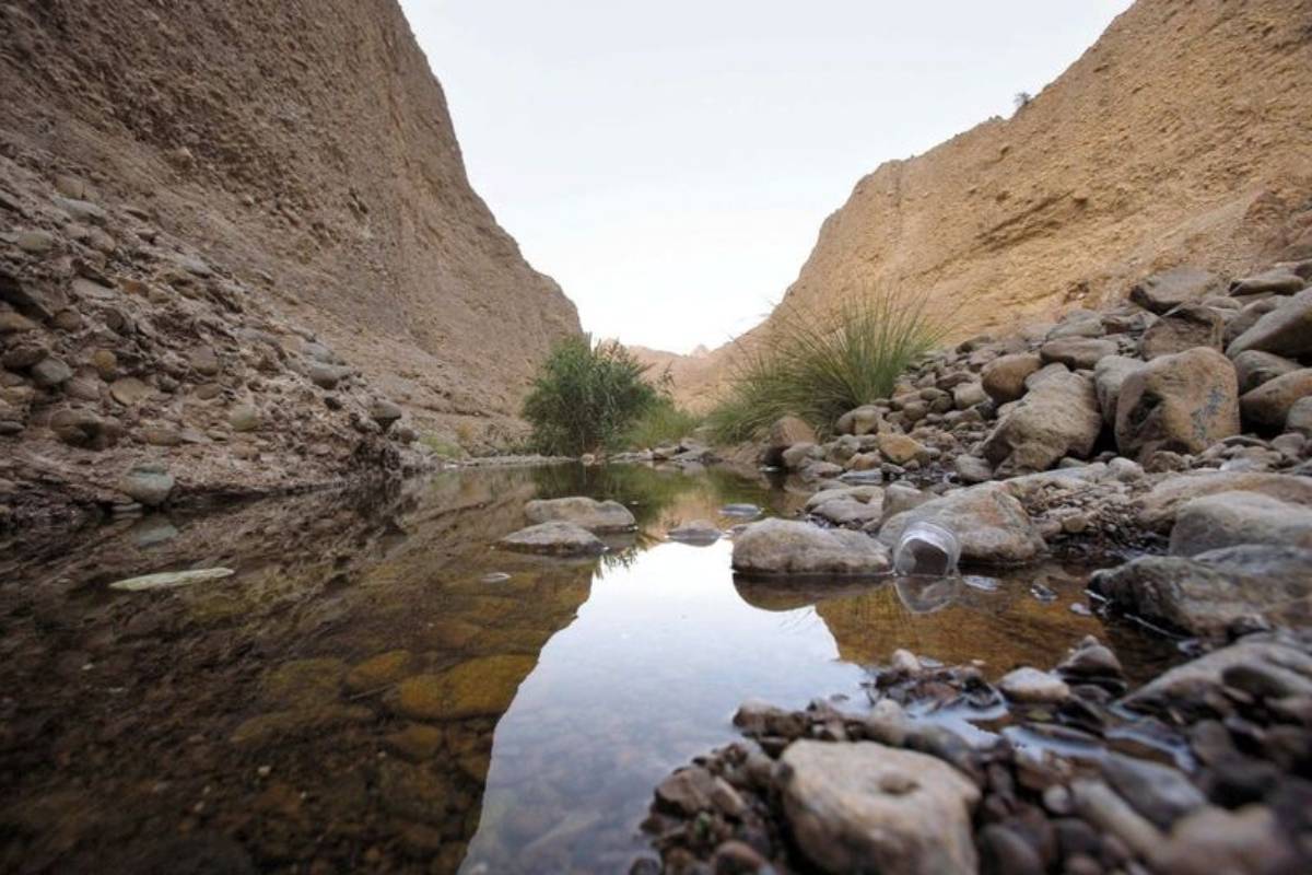 سياحة في الخليج