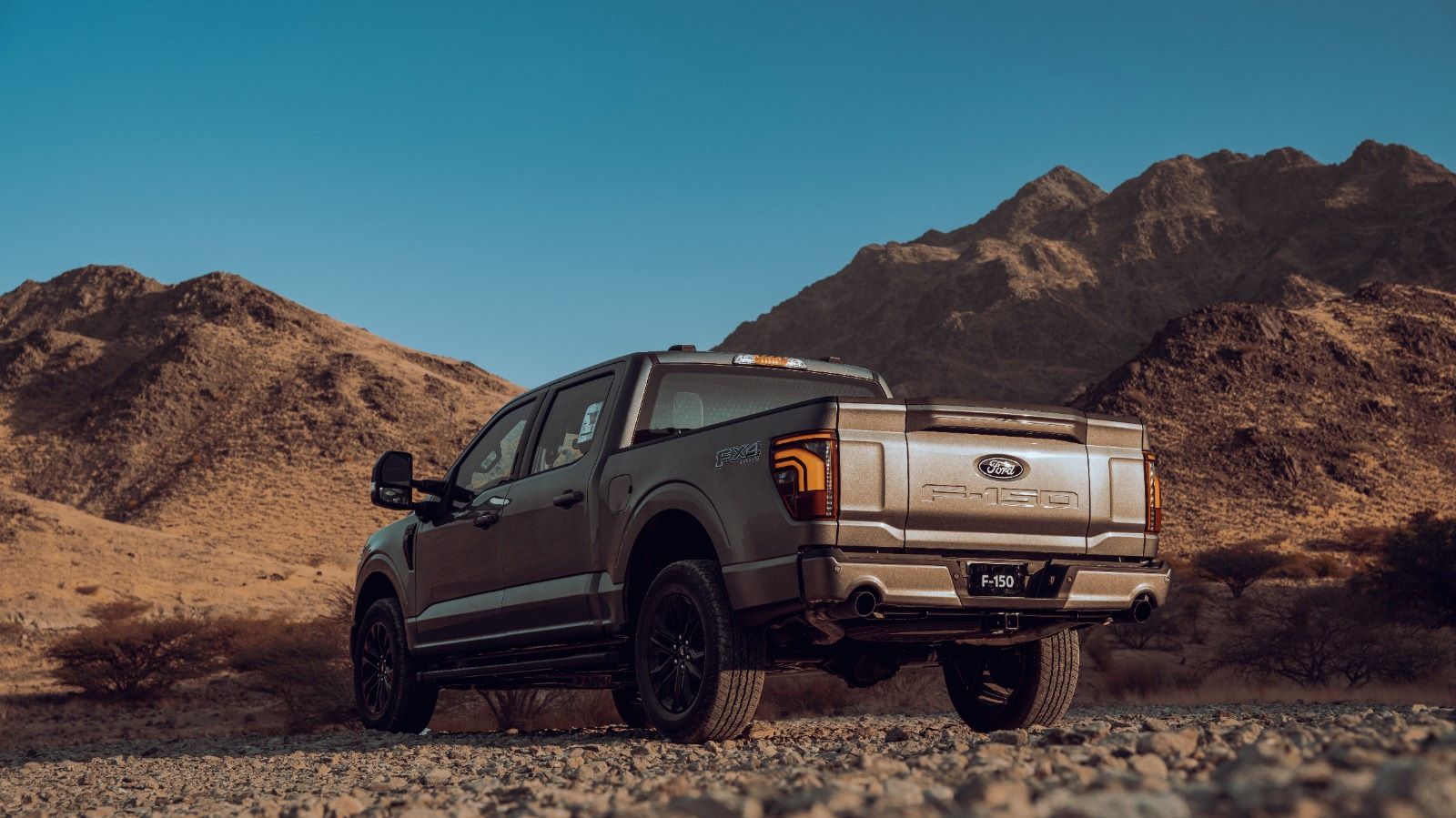 فورد F-150