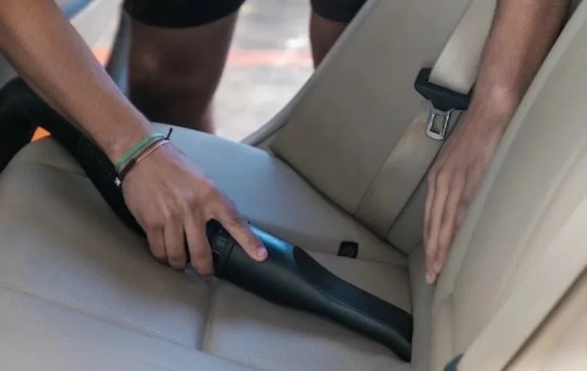 نمل في السيارة