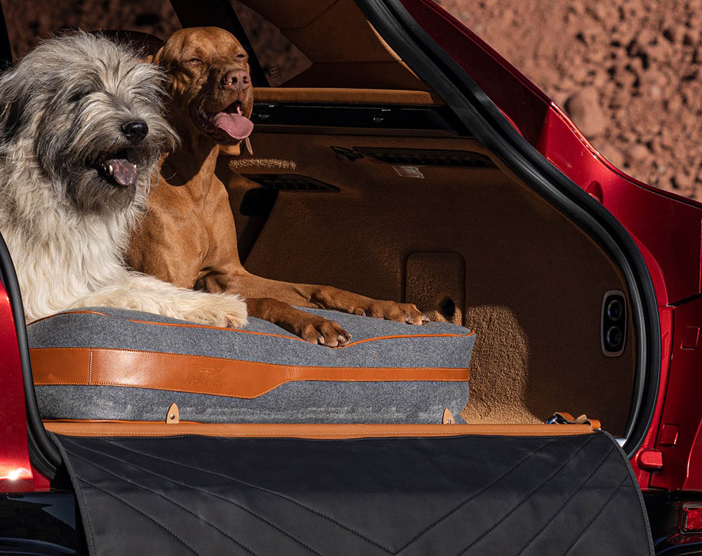 استون مارتن