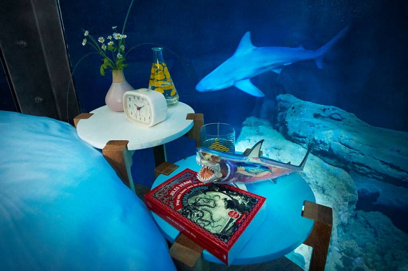 غرفة بين سمك القرش