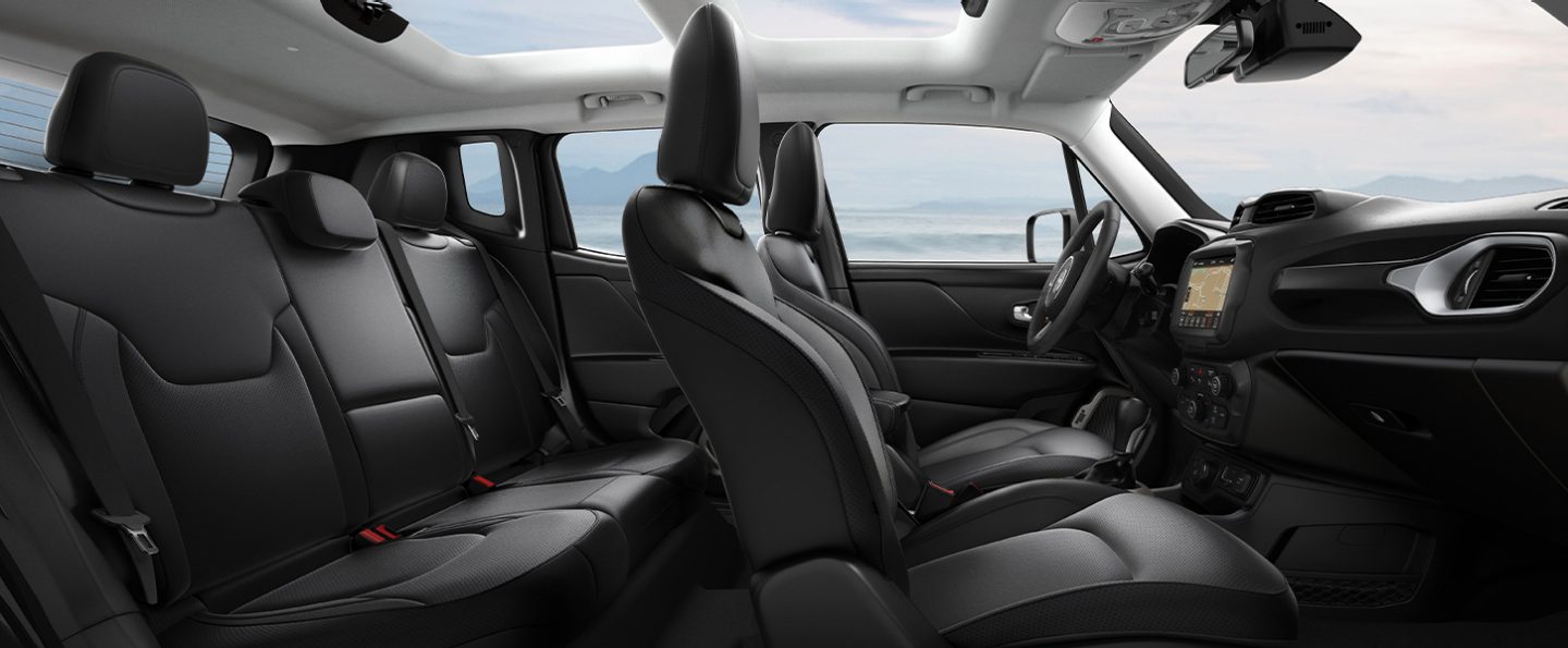 جيب رينيجيد