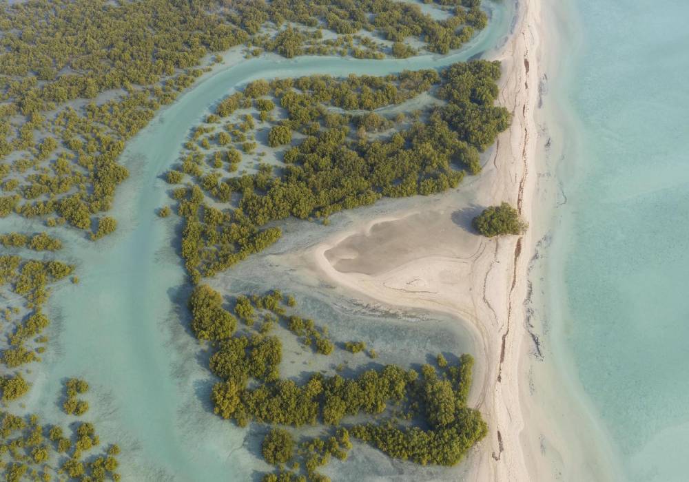 جزيرة صير بني ياس