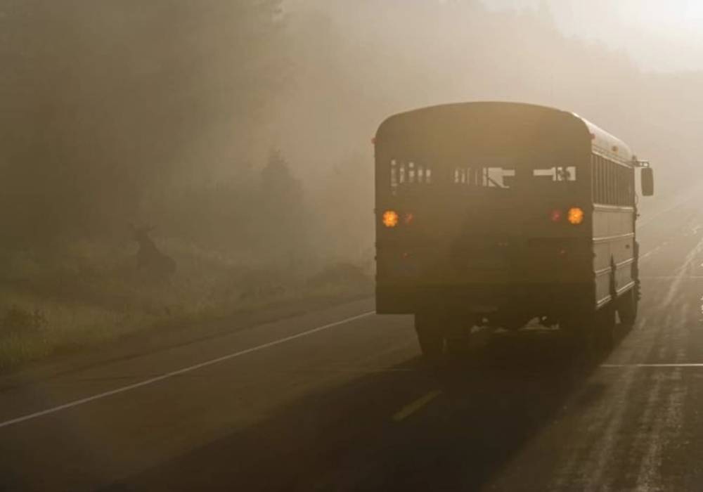 قصة صورة الطرق المسكونة والحافلة الوهمية رقم 7 في لندن صورة 2