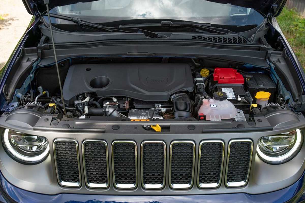 جيب رينيجيد