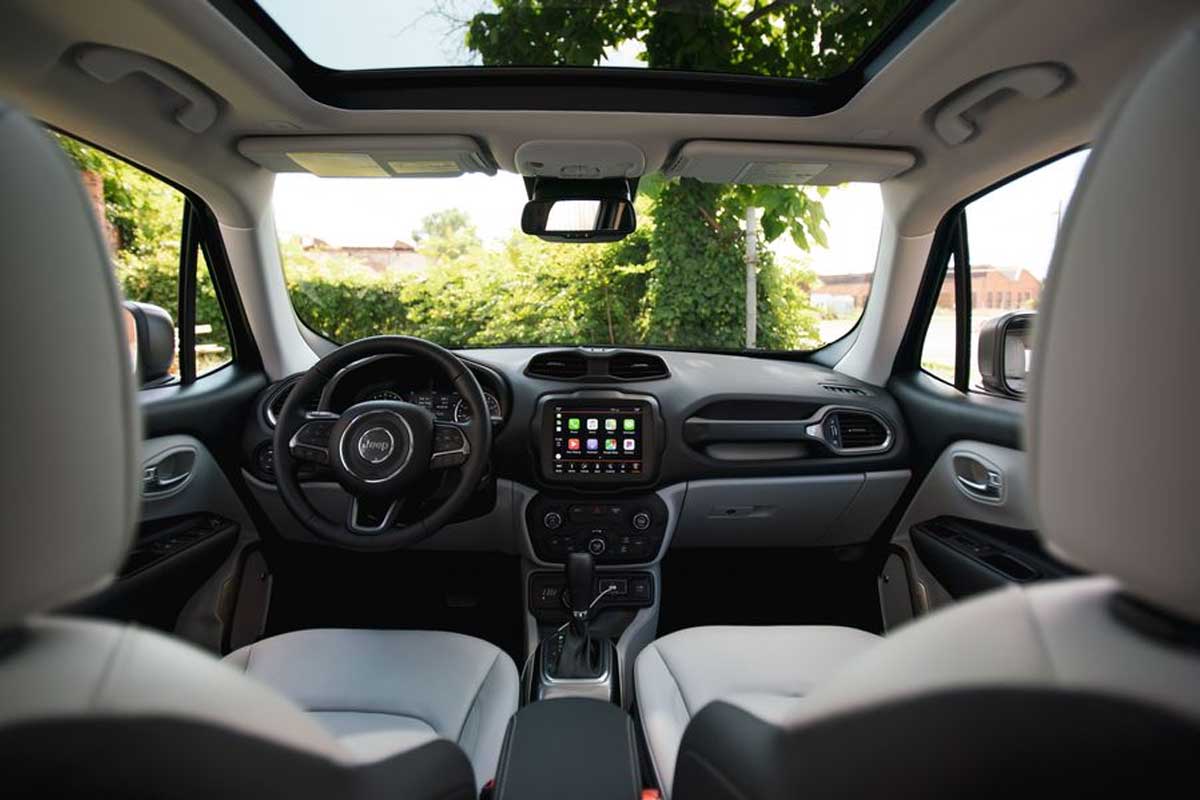 جيب رينيجيد