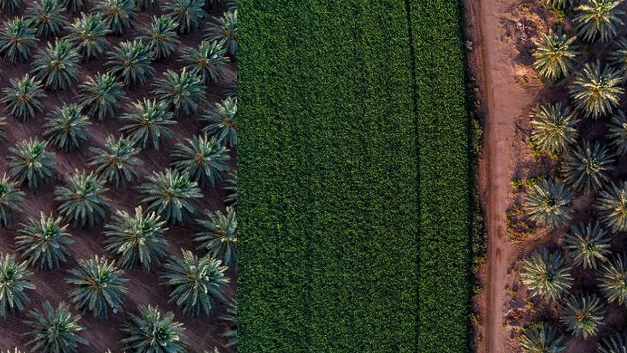 طريق الرياض القصيم