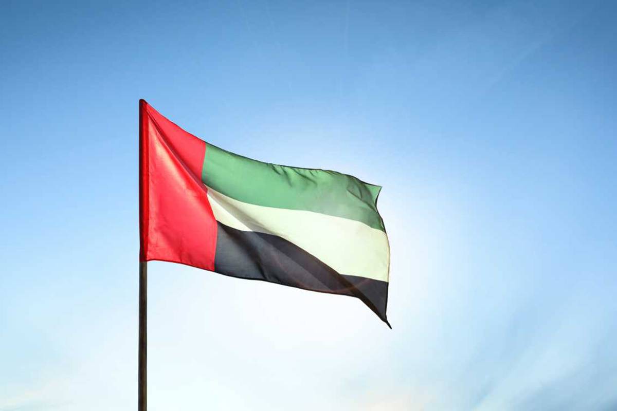 استعلام المخالفات المرورية برقم اللوحة