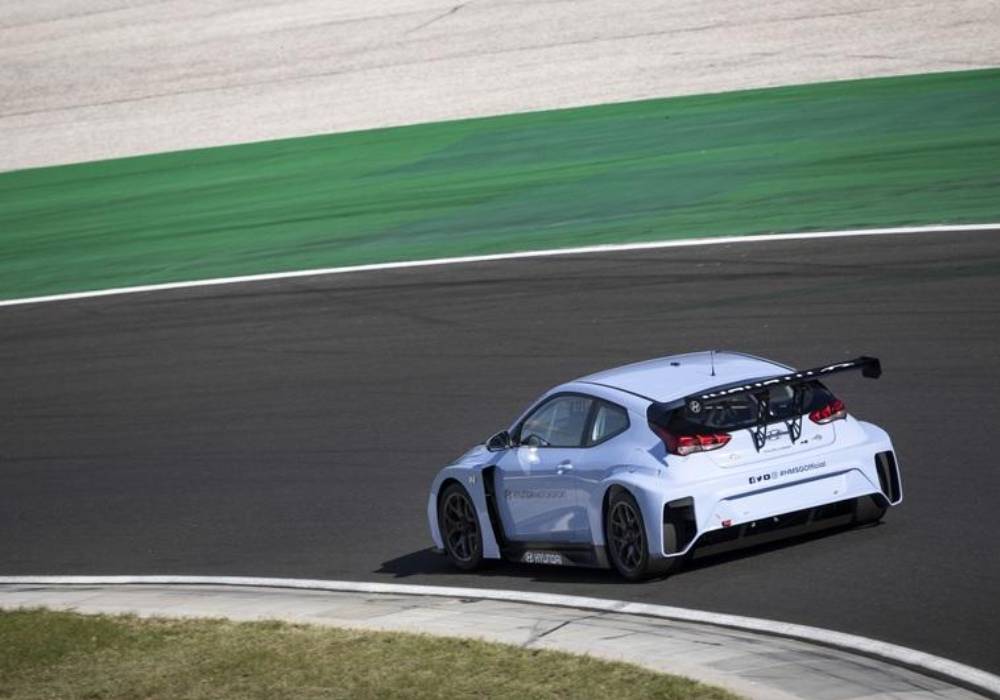 فيلوستر- N ETCR صورة 2