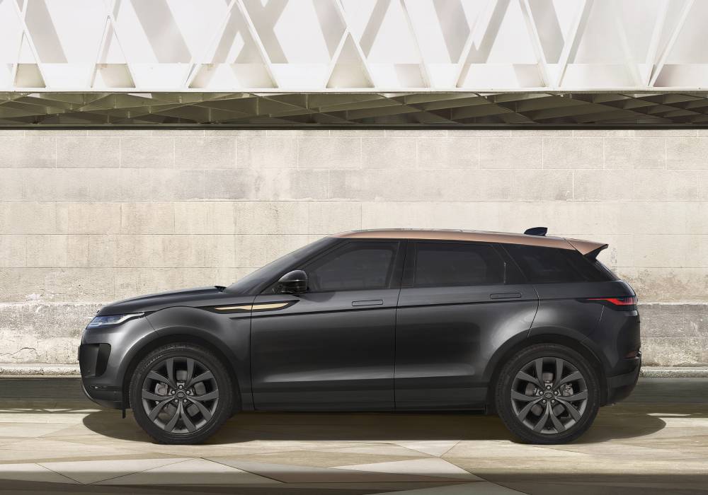 الإصدار الخاص الجديد برونز كولكشن صورة 2