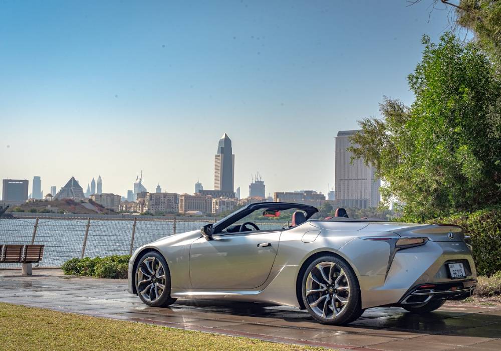 ليلى روبوت الدردشة صورة 3