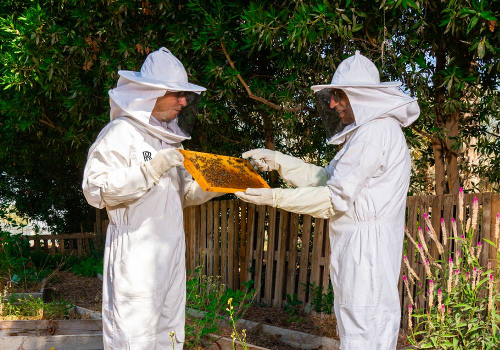 مبادرة المنحلة من رولز رويس صورة 4