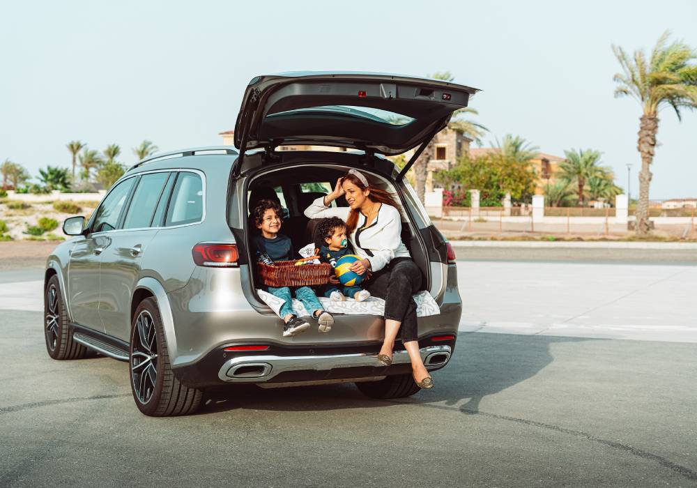 صورة 2 - رجوم قمر