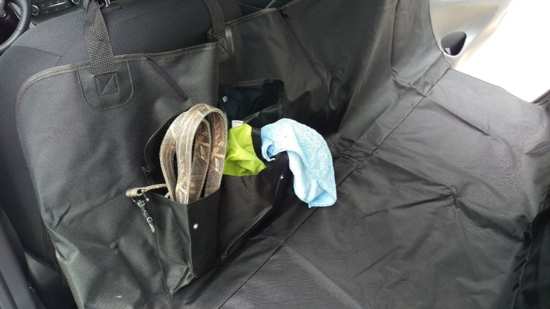 نقل الحيوانات الأليفة في السيارة