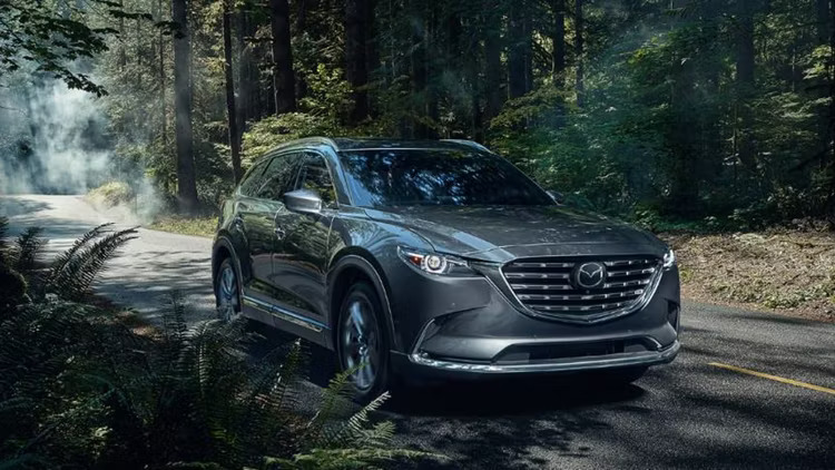 اس يو في متوسطة الحجم