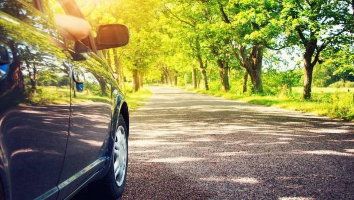 الترس المحايد