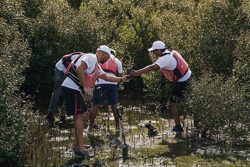 العربية للسيارات