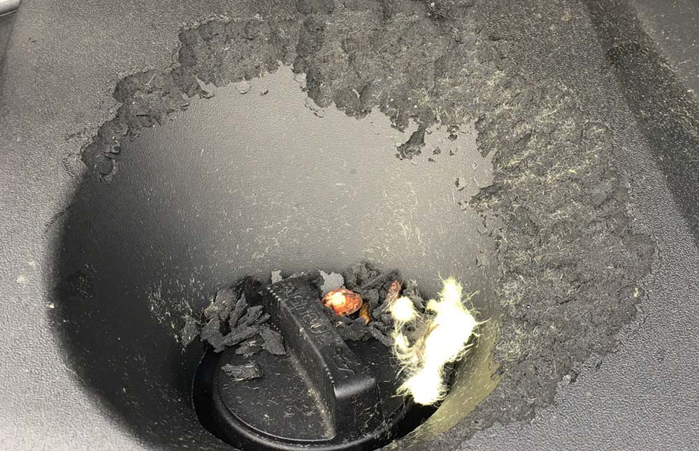 الجرذ في السيارة