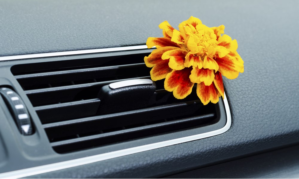 رائحة مقصورة السيارة الجديدة