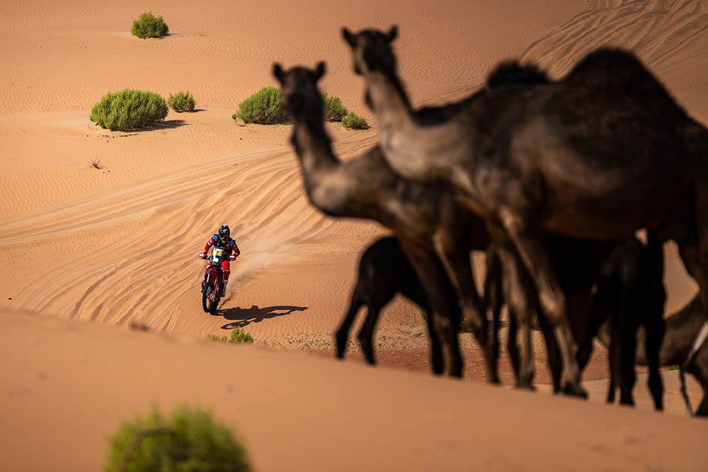 رالي أبو ظبي الصحراوي