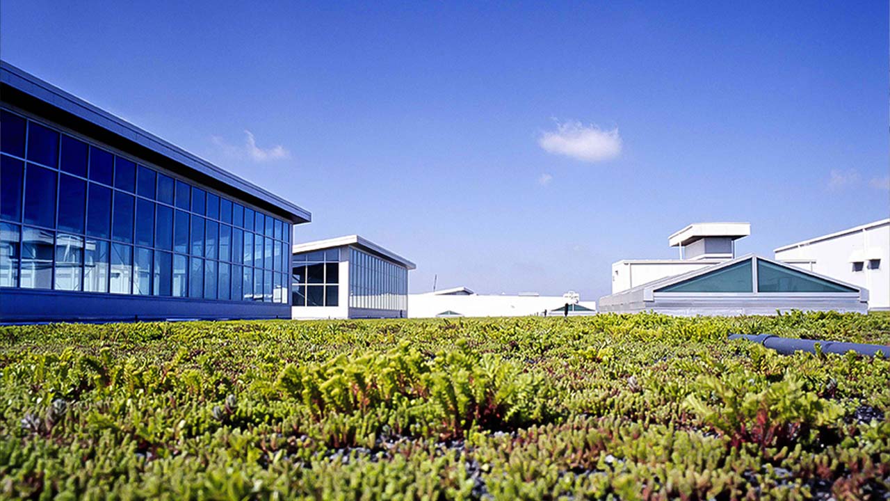 زراعة ونحل في فورد