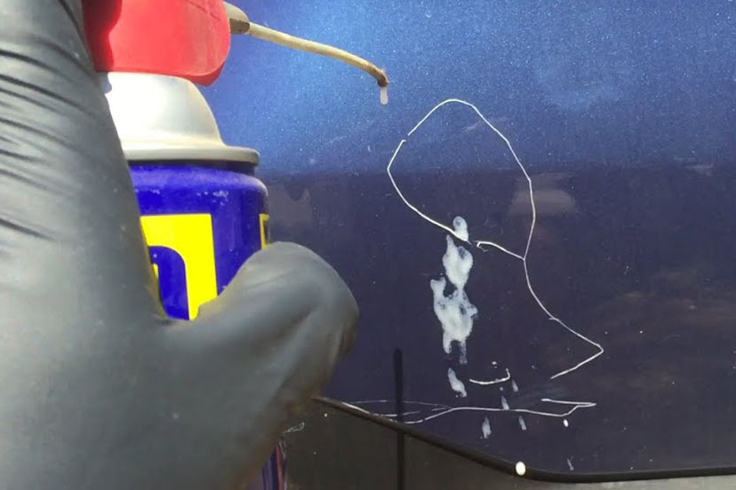 كيفية إزالة العلكة