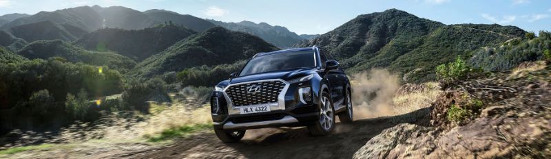 هيونداي باليسايد